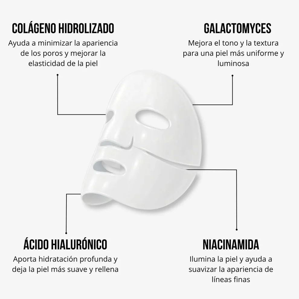 Pack Starter Zelnea